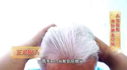 机窍开合护长寿6
