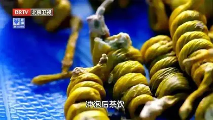 泰斗降糖有奇方4