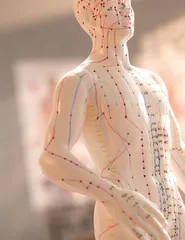 药穴同源补正气