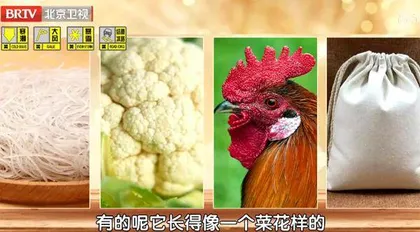 观形辨色识肿瘤2