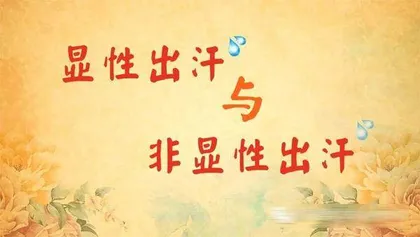 夏季汗多也伤身2