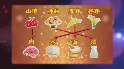 夏季消化不良,消食药材大比拼2