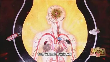 生存期最短的肿瘤5