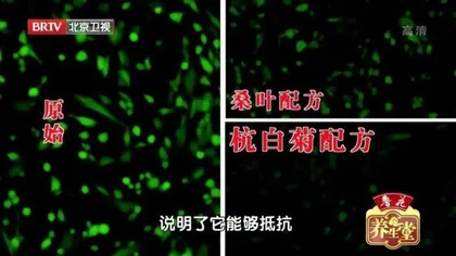 养好最有个性的脏腑5