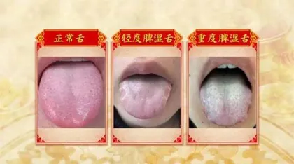 学会给脾胃减负2