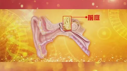 偏头痛诱因家中寻找3