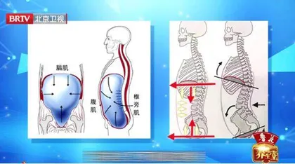 护好人体的长寿肌5