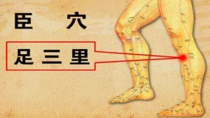 气阴双补巧防癌1