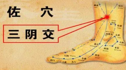 气阴双补巧防癌2