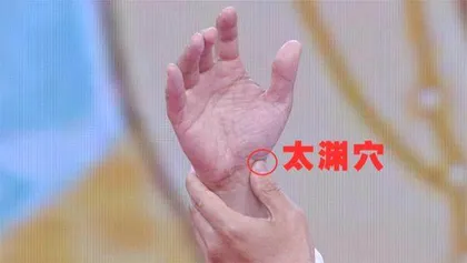 夏季补益正当时4