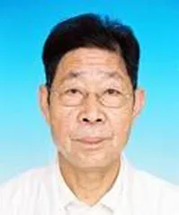 中医碎石有高方1