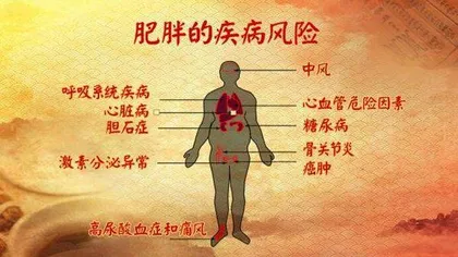 辨清体质防疾病3