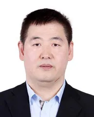 寻找最“长寿”的膝盖
