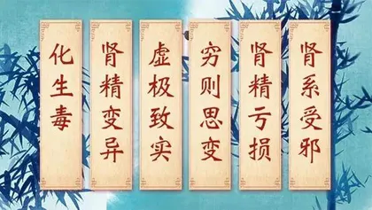肺癌治法肾中求2