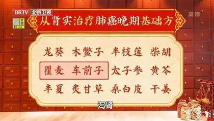 肺癌治法肾中求4
