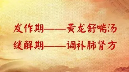 肺系疾病由风解2