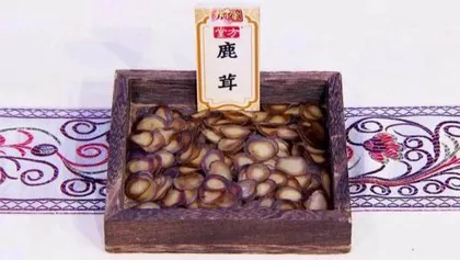 贵重药材的平价替身5