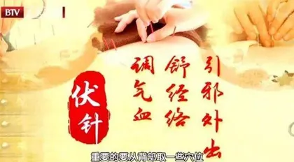 夏季补益正当时1