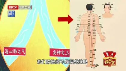 守护人体的“长寿双行线”3