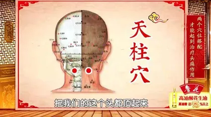 守护人体的“长寿双行线”5