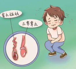 儿童阴囊急症超声来帮忙1
