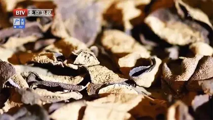 故宫里的食养秘方2