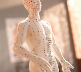 奇经八脉，养生祛病有妙用1