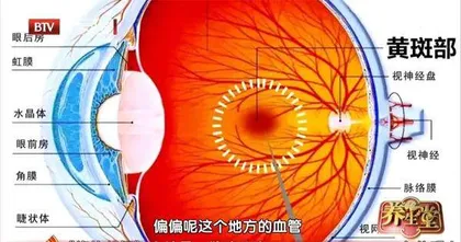 一“望”而知的脏腑危机2
