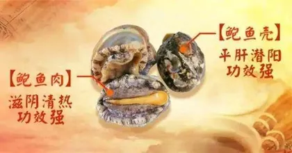小贝壳大妙用2