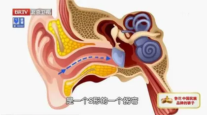 警惕“吃掉”大脑的小毛病4
