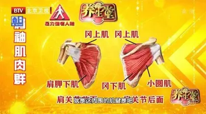 小心会致残的肩痛5