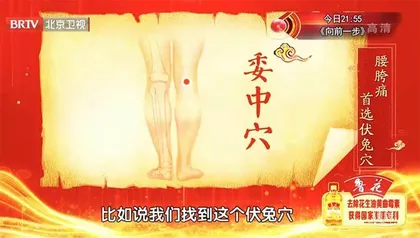 国医大师的一针一得4