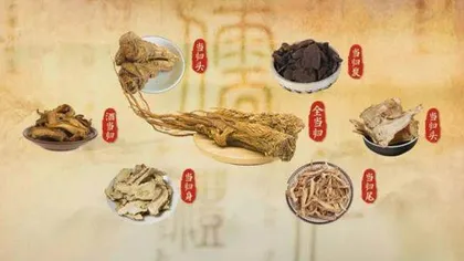一药多制的养生本草2