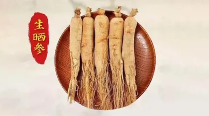 一药多制的养生本草4