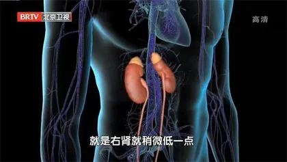 小心急性肾损伤盯上老年人3