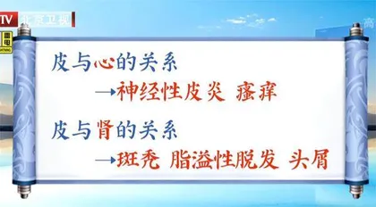 守护人体的第一道防线4