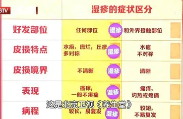 守护人体的第一道防线5