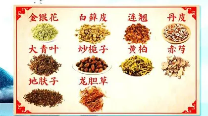 守护人体的第一道防线6
