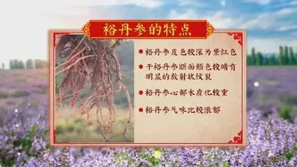 国医大师唐祖宣的护心养肾经2