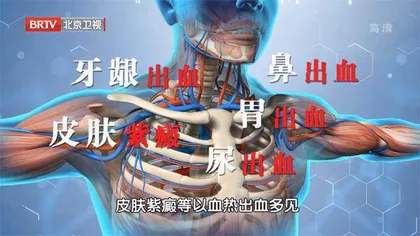 名中医的调血心经5