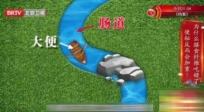 护好肠道人长寿3