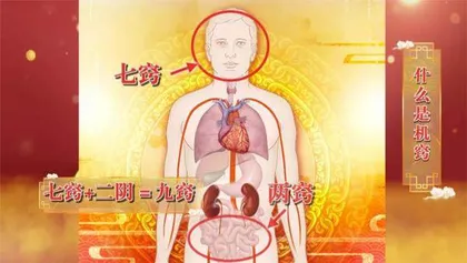 机窍开合护长寿2