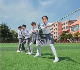 运动处方:小学体育与个性化心理辅导的融合实践1