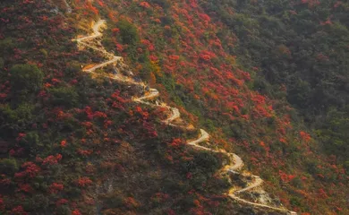 游三峡之巅1
