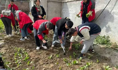 让心理健康教育在高中生物教学中“活”起来