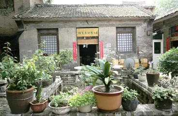裴向南：最后的古法手工制针人4