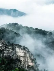 云山吟