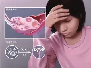 “小仙女”受难记