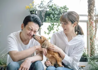宠物咬抓伤后，施打疫苗要及时