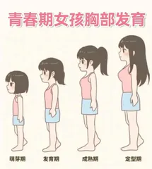青春期女性乳房发育不容忽视！